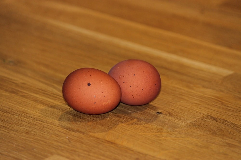 Blue (BBS) Birchen Marans
